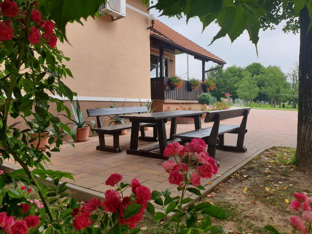 Guest Accommodation Marko Kesic กราโบวาซ ภายนอก รูปภาพ
